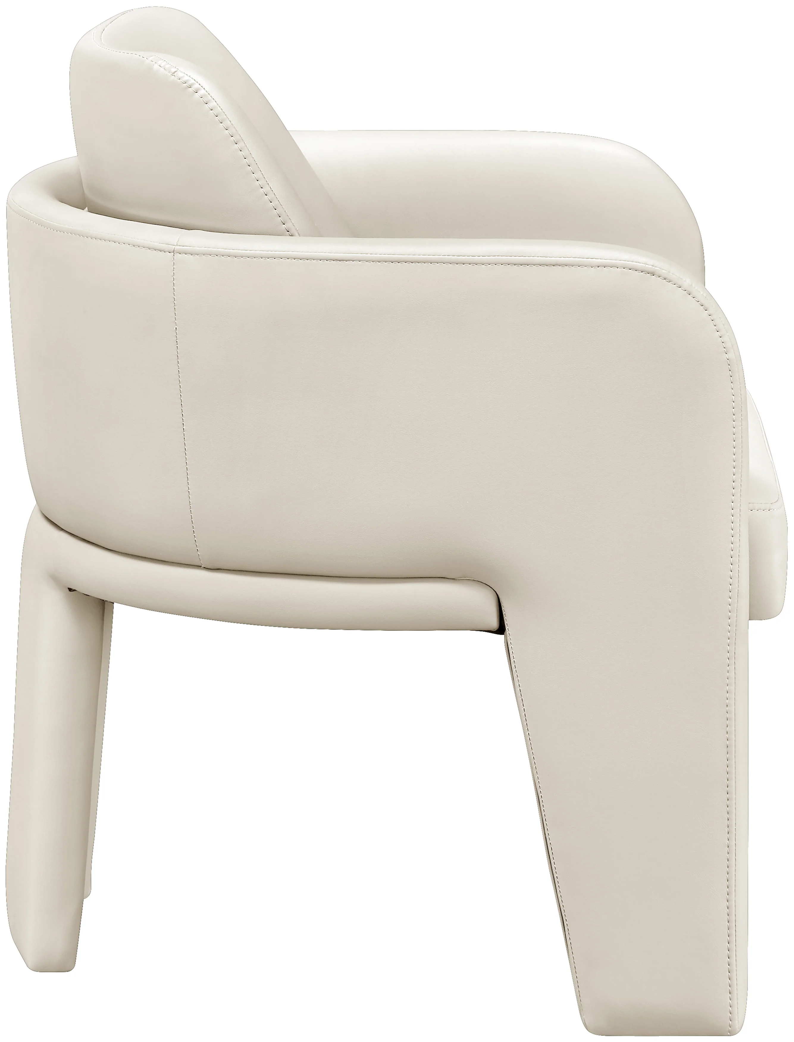 Luciana Dining Chair - Image 23